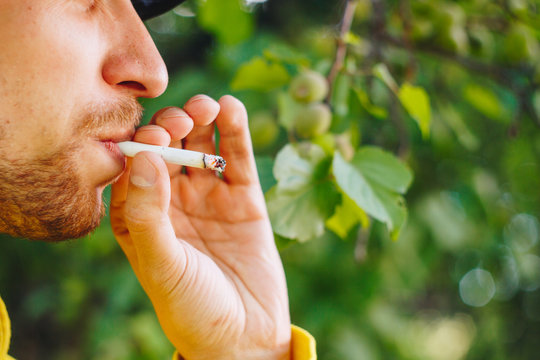 smoldering cigarette in the hand of a man with a beard on nature against the background of green trees. Nicotine tobacco smoke. Unhealthy Lifestyle. Close-up, ash. Smoking break