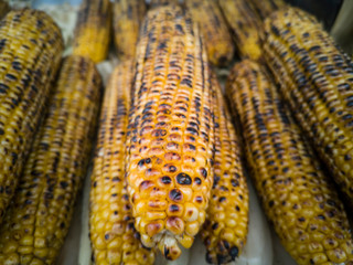 Roasted corn close up