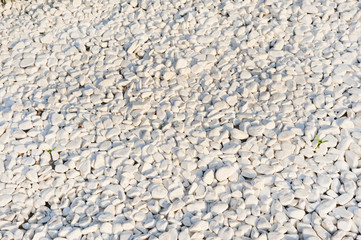 Texture of sea pebbles, light colors, for background