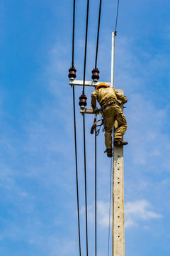 The electrical worker  are repairing the electrical system