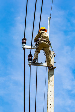 The electrical worker  are repairing the electrical system
