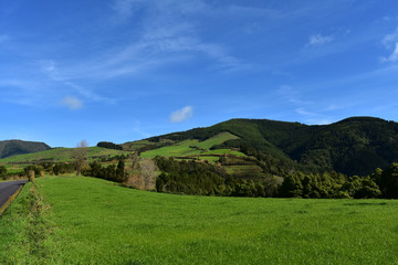 Fantastic Green Fields and Pastures in the Countryside of Sao Miguel