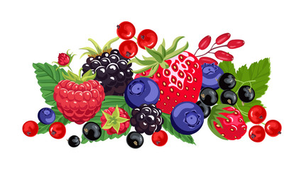 Banner with vector forest different berries and green leaves. Strawberries, raspberries, blueberries, currants, barberry, blackberries isolated on white background. Flat style.