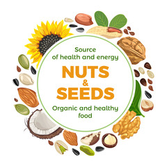 Nuts and seeds mix round frame or banner. Almond, pumpkin seed, peanut, sunflower seeds, pistachio, cashew, coconut, hazelnut , macadamia, walnut. Vector illustration in flat style. 