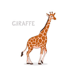Naklejka premium Vector illustration, a cartoon giraffe, isolated on a white background. Animal alphabet.