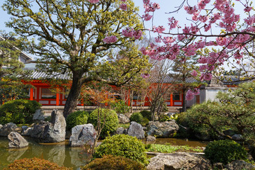 Fototapeta na wymiar Japanese garden in spring with a pond, red pavilion, spruce and sakura trees. Calm and tranquility.