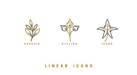 Fototapeta na wymiar Icons flowers, wildflowers, herbs, leaf, in linear style. Floral branches icon vector graphic