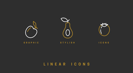 Fruit icons set in linear style. Vector illustration