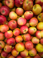 Red apples background