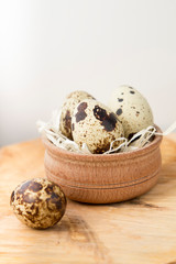 quail eggs in a nest on a white background