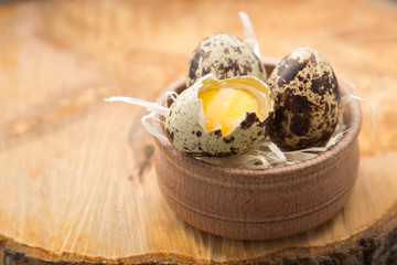 Gentle quail eggs on a cut of a tree