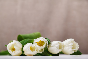Beautiful composition with white tulips close-up on a beige background. Spring still life, soft focus, place for text