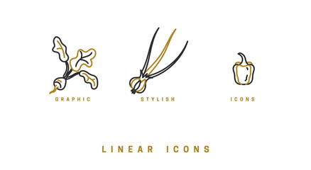 Icons vegetables in linear style. set food icon vector graphics
