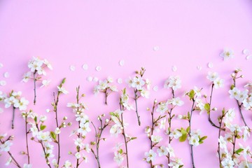 Frühling - Frühlingsblumen