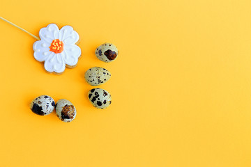 five speckled quail eggs and gingerbread in the form of a flower on a yellow background Easter concept top view