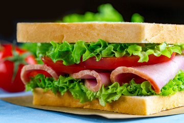 Homemade sandwich with ham and fresh vegetables close up