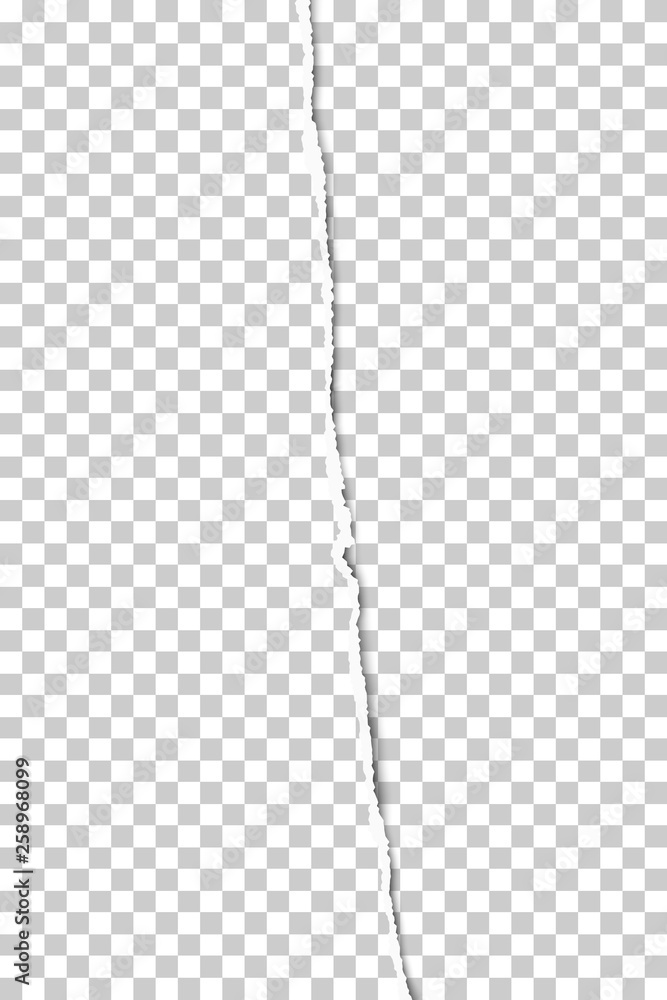 Wall mural vertical sheet of transparent paper teared from top to bottom placed on transparent background. vect