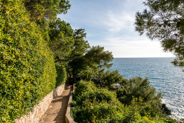 Seacoast of Cap Martin in a sunny winter day