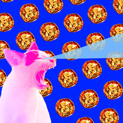 pizza pattern with hungry feline cat, pop food theme