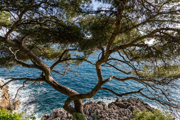 Seacoast of Cap Martin in a sunny winter day