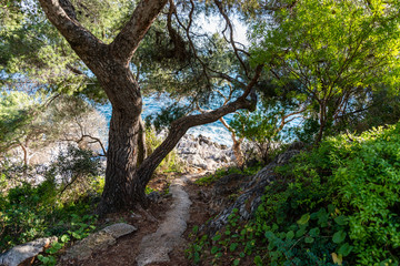 Seacoast of Cap Martin in a sunny winter day