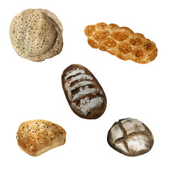 Bread, bakery product watercolor drawing set. Fresh loaf of bread, baguette, croissant, cupcake, toast, burger and sweet bun, pretzel and challah. Natural organic bread, bakery shop design