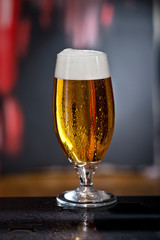 Glass of beer on the dark background