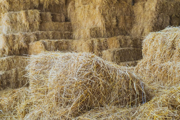 Bales of Straw in a shed for feeding horses