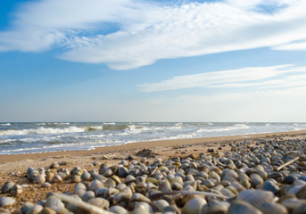 Fototapeta na wymiar seascape with seashells in the foreground
