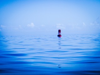 Buoy, Monterey Bay, California