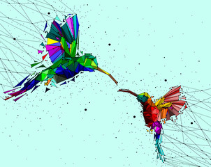 Obraz na płótnie Canvas Abstract of Low poly couple hummingbird with point connecting network,animal geometric concept,vector. 