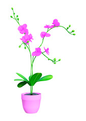 3D Rendering Blooming Orchid Plant on White