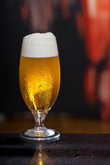 Glass of beer on the dark background