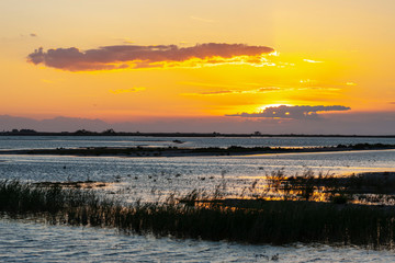 Camargue, Provence, France