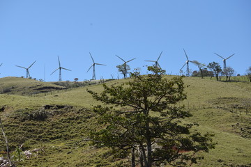 molinetes