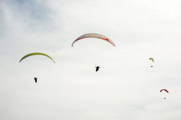 Group of paraglider flying in the blue sky against the background of clouds. Paragliding in the sky on a sunny day.