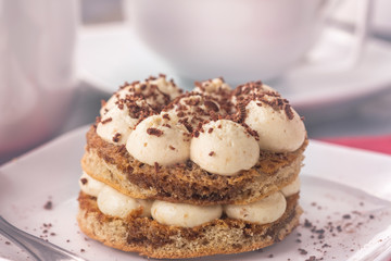 Tasty  Tiramisu dessert on a plate. Delicious Italian dessert. Toned photo
