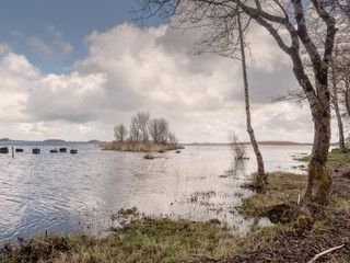 Lougn Corrib shore, county Galway, Ireland.  Trees grow on shore, small islands in the background. Calm water.