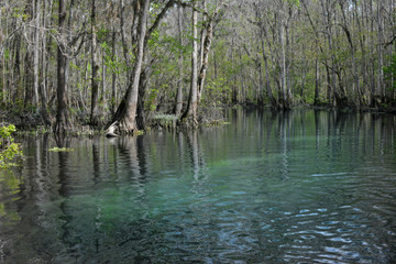 Ichetucknee river in Ichetucknee Springs State Park, Florida