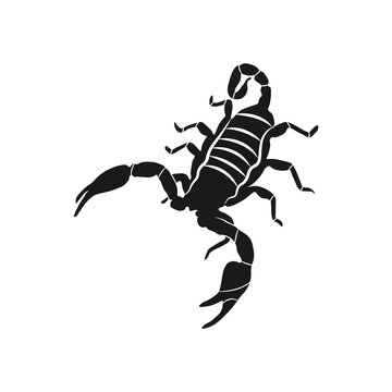 scorpion icon illustration isolated vector sign symbol