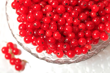 Fresh red currants in bowl close up
