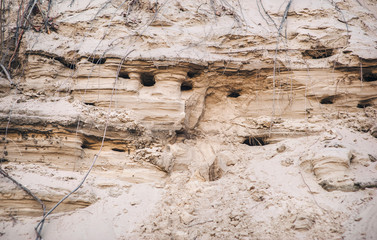 Swallow holes in clay soil. Bird's burrow in the sand. Natural background.