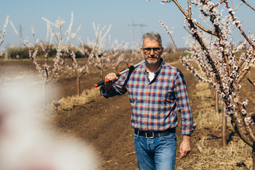 middle aged worker in orchard