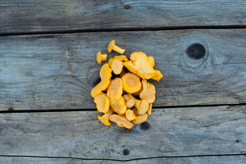 Tasty chanterelles mushrooms on dark wooden board