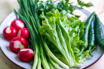 radish, parsley, onion and other vegetables on a plate