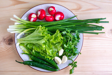 radish, parsley, onion and other vegetables on a plate