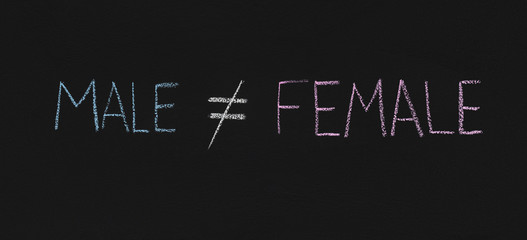 Fototapeta premium Word Male is not equal Female, chalkboard sketch