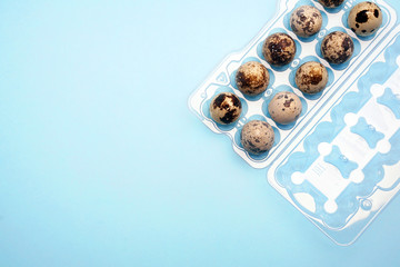 Quail eggs in a plastic egg carton on bright blue background