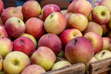 A crate of apples for sale at a Farmers market