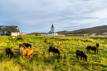 Naklejka na ściany i meble A landscape of Iceland, Europe